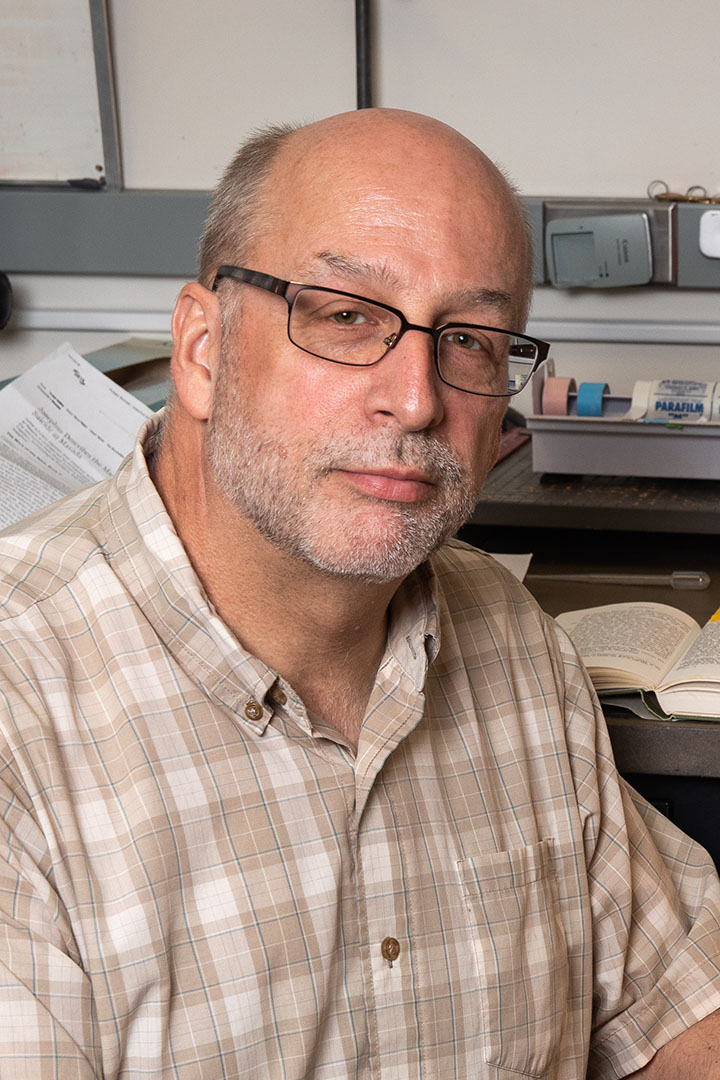 Christopher Rollston