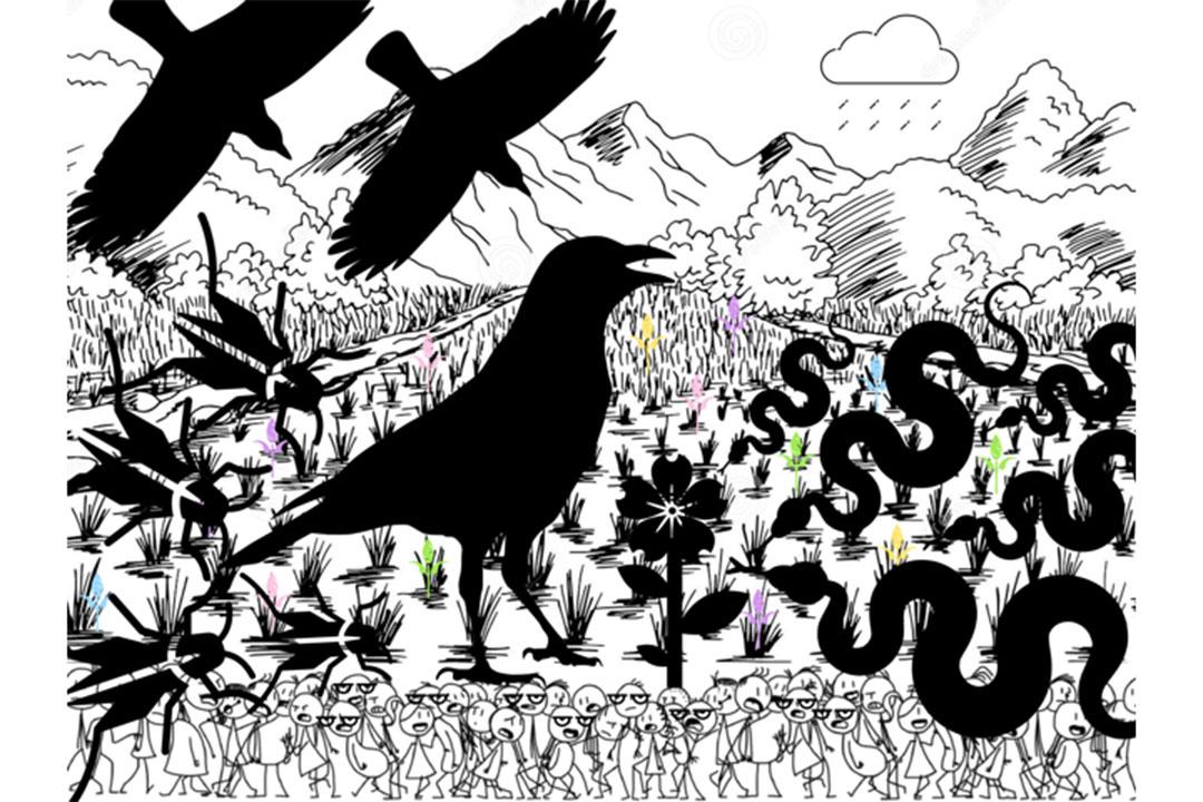 Illustration of a silhouette of birds, snakes and beetles in a field